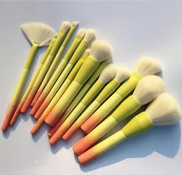 Pro Gradient Color 14pcs Makeup Brushes Set Soft Cosmetic Blending Foundation Eyeshadow Blush Brush Kit Make Up Tools3754219