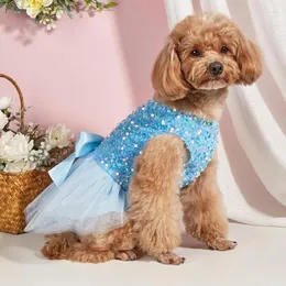 Hondenkleding Handgemaakte prinsessenjurk voor huisdier Puppy Rok Hoogwaardige kleding Party Po Luxe