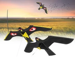 Dekoracje ogrodowe emulacja latającego jastrzębia latawca sarner napędowy odstraszający na strachu na wróble odstraszającym 2211017899760