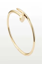 Charme Pulseiras Prego Pulseira Designer Jóias De Luxo Para Mulheres Bangle Liga De Aço De Titânio Goldplated Processo Nunca Fade Não All5390241