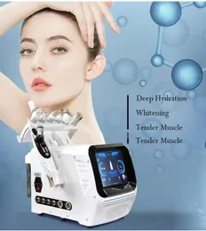 Macchina per la cura della pelle blu ghiaccio intelligente di bellezza di alta qualità per il viso 7 in 1 macchina per il viso con ossigeno h2o2