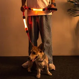 Hundehalsbänder, verstellbare LED-Leine, beleuchtet Ihre Wege, perfekt für sichere nächtliche Spaziergänge und Abenteuer im Freien