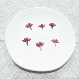 Fiori decorativi 24 pz/1.5-2.5 cm Natura Petali a forma di ventaglio FAI DA TE Contagocce Cassa Del Telefono Decorazioni di San Valentino Biglietto di Auguri Pianta Gioielli