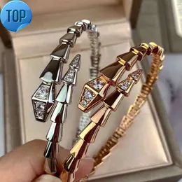 Projektant Bracele Bvg Moda Wysokiej jakości biżuteria Diamentowy Złoty Naszyjnik Akcesoria Kopica Koszer Kość Bransoletka gruba elektropa