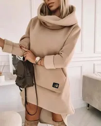 High Neck Long Sleeve Sweatshirt Casual Dress Women Autumn Winter Hoodie Fashion Loose Mini Pockets 240115