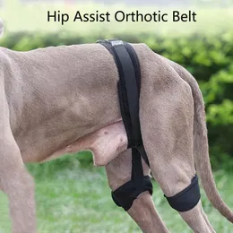 Cão vestuário hip joint cinto de correção auxiliar reabilitação de lesão animal pós-equipamento de proteção para animais de estimação suprimentos