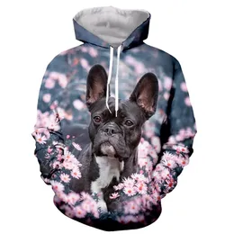 2024 Bulldog Francês Engraçado Moda Casual 3D Moletons Com Capuz Homens Mulheres Primavera Animal Pulôver Oversized Hoodie 240115