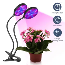Grow Lights Full Spectrum LED LED USB FITLOPP İLE Bitki Fideleri için Kontrol Fitolamp Fitolamp Çiçek Ev Çadır Büyüme Aydınlatma