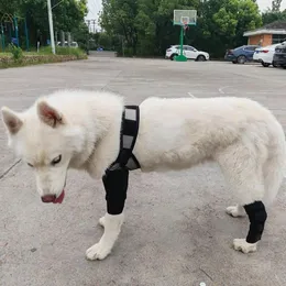 Collares para perros, correa para las piernas, cadena para mascotas, cuerda de tracción, plomo para correr, manos libres, soporte para el cuidado de las articulaciones de la cadera, envoltura pequeña y mediana