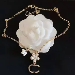 Biżuteria naszyjniki białe platowane 925 srebrne studia luksusowe projektanci marki listy geometryczne słynne kobiety okrągłe kryształowe złoto 123