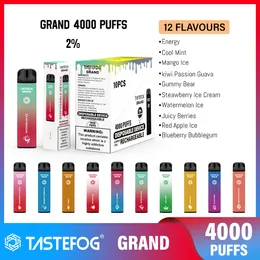 Multi-Flavor OEM Tastefog 4000 5000 6000 Puffs High Capacity Disponible Vape Factory Direct Sale Vape Pen Puff Distributors