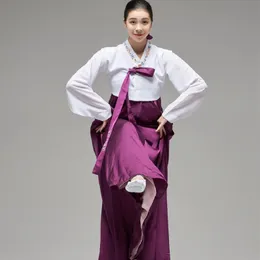 Fantasia de dança coreana para lavar as mãos, traje para meninas, palco padrão, adulto, prática, top + saia, roupa de dançarina de minoria étnica