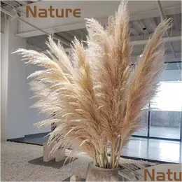 Decorative Flowers Wreaths Big Size Pampas Grass Bouquet Wedding Home Decor 130Cm 150Cm Dried 10Pcs Decoration Artificial Altificia Dhlsk