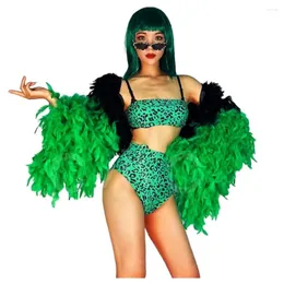 Abbigliamento da palcoscenico Costume da discoteca sexy Bar Gogo Costume da bikini con stampa leopardata verde Piuma Manica larga Cantante da donna Abiti da spettacolo di squadra