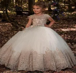 2020 Ball Gown Flower Girls Dresses For Girls First Communion Dresses Communion Party Prom Princess Pageant8887790