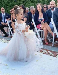 2020 Allık Çiçek Kız Elbiseler Düğünler İçin Balo Elbise Uzun Kollu Tül Dantel Yay Uzun İlk Cemaat Elbiseleri Küçük Kız 7545325
