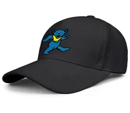 ファッショングレイトフルデッドベアブルーユニセックス野球帽子クールなチームトラックハットウィスコンシンピンクファイブダンスベアと会社のポスターFL5359870