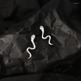 Studörhängen Kvinnor 2024 925 Sterling Silver Snake Personlighet Aretes de Mujer Korean Fashion Earring