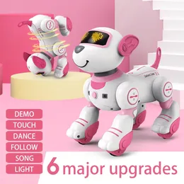 Engraçado RC Robô Eletrônico Cão Dublê Comando de Voz Programável Touch-Sense Música Canção Robô Cão Rosa Brinquedos para Meninas Presente 240117