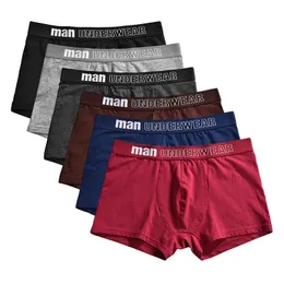 High Quality Men Boxers Short Boy 3PCSSet Combed Cotton Breathable Male Underwear Mens Bodysuit Underpants S3XL Vetement Homme 240117