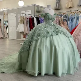 Hellgrüne 3D-Blumen-Quinceanera-Kleider, Ballkleider für Frauen, Tüll, Vestidos de 15, schulterfreies Ballkleid mit Schleppe, Sweet-16-Kleider