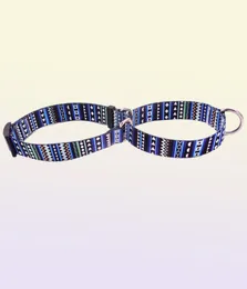 Bohemian British Style Pet Dog Collars bekväm färgglada justerbara martingale krage Fadeproof Sublimation Tryckdesigner B6331209