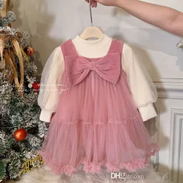 女の子のためのかわいい二枚のドレスセット秋の冬のぬいぐるみドレス赤ちゃんの小さな女の子のスカートセット服