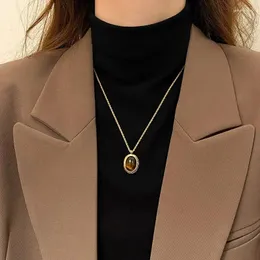 Choker Ovale Tijgeroog Steen Ketting Voor Vrouwen Lichte Luxe 2024 Herfst/Winter Accessoires Lange Trui Keten