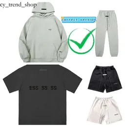 Designer-Hoodie EssentialsSweatshirts EssentialsHoodie Herren-Hoodie Essentials Designer-Kapuzenpullover Topversion Baumwoll-Streetwear-Trainingsanzug Großhandelsrabatt 31