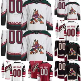 Arizona Hockey Coyotes tröjor 70 Karel Vejmelka 14 Shayne Gostisbhere 12 Ritchie 17 Nick Bjugstad 19 Troy Terry 90 J.J. Moser 9 Clayt 3209