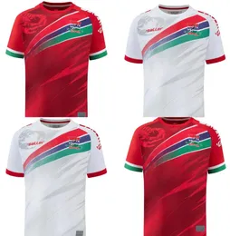 2024 Gambiya Nationa Futbol Formaları 23 24 25 Afrika Kupası Evde Kırmızı Beyaz Oyuncu Versiyonu Açık Spor Futbol Gömlekleri Üniforma