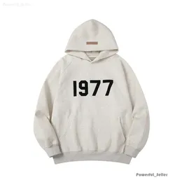 1977 Designer Essentialshoodie Tracksuit Ess Hoodie Pullover Sweatshirts assentsweatshirts مجموعة قمم الجودة للرجال للسيدات خطاب الطبع سراويل العرق 3517