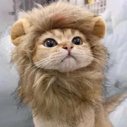 고양이 의상 귀여운 사자 모자 통기성 애완 동물 후드 참신 스타일 개 헤드웨어 피하 소품 슈퍼 소프트