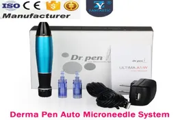 Wiederaufladbarer automatischer elektrischer Derma-Pen, Mikro-Needling-Roller, 2 Kartuschen, 12 Nadeln, Hautpflege-Dermapen-Gesichtsroller-Maschine1024481