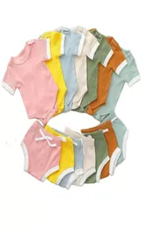 Baby Ribbed Clothes Boys Summer Clothing Set Candy Plain Article Pit Cotton Suit Girls Romper Triangle Pants 2Pieces Sets Bodysuit6951846