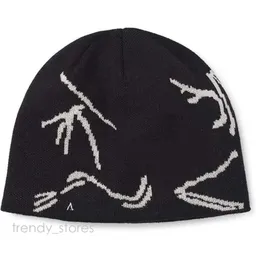 Arctery Beanie Brand Designer Bone Bird Hat Hat Hat Brand Beta Lt Baseball Cap Single Cap Autumn 362 Arc Beanie Antarctic Beanie
