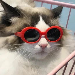 نظارة شمسية 2024 جميلة جولة قطة قطة انعكاس العيون نظارات للكلاب الحيوانات الأليفة إكسسوارات