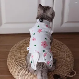 Costumi di gatto Stillerizzazione alla moda per animali