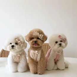 Abbigliamento INS Corea primavera ed estate nuova fionda in pizzo Bichon Teddy gonna per cani vestiti per animali in cotone vestito con forcina in pizzo