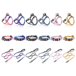 Apparel Pet Shop High Quality Pet Collar Leash Harness Personlig glänsande polyesterdesign Små hundsele och koppel