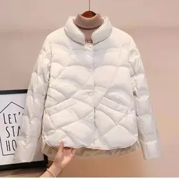 2024 New Korean Fashion Elegant Women's Apron Cotton Hanger Collar Single Breast Park Solid Long Sleeve Warm Jacket 240123