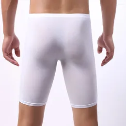 Unterhosen Marke Lange Männer Boxer Unterwäsche Männer Shorts Herren Eis Seide Boxer Sexy Atmungsaktive Beutel Pantie Boy Sissy Homosexuell