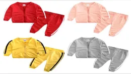 Ensemble de vêtements d'automne pour bébés garçons et filles, combinaisons de sport en coton pour nourrissons, veste à fermeture éclair et pantalon, 2 pièces, nouveau-né garçon, survêtement 4531086