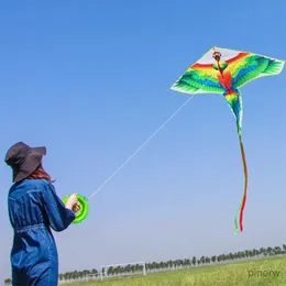 Kite Accessories YongJian kite Parrot Kite for Kids and Adults animal kites for Outdoor Games and Activities Single Line Kite with Flying Tools