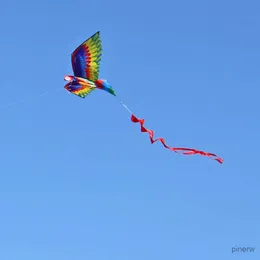 Kite tillbehör Rainbow Sports Beach Kite Handle Windsock Kite Realistic Big 3D Parrot Kite Flying Game Family for Nybörjare barn