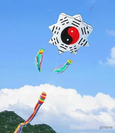 Acessórios de pipa frete grátis pipas tradicionais voando pipas infláveis para adultos profissionais carretel fofocas pipas ufo fábrica