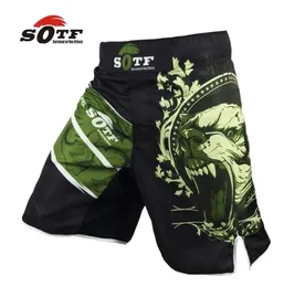 SOTF Green Bear boxer in cotone traspirante allenamento sportivo mma lotta abbigliamento corto muay thai boxe 2012162843023