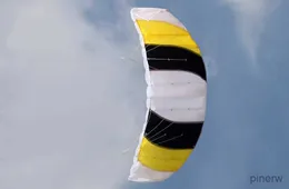 Accessori per aquiloni Divertimento all'aria aperta Sport Power 1.4m Doppia linea Stunt Parafoil Paracadute Aquilone da spiaggia per principianti