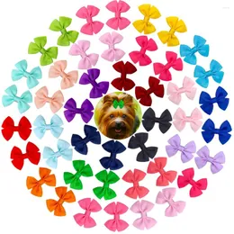 Hundkläder 2st Solid Bows Hair Clips Pet Bowknot Doggly Grooming Products For Puppy Kitten Barrette Accessories