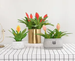 3 PCSLOT Simulation Tropical Succulent Plants Plastiska falska blommor Hela DIY inomhus vardagsrum hem dekoration konstgjord pl4868344
